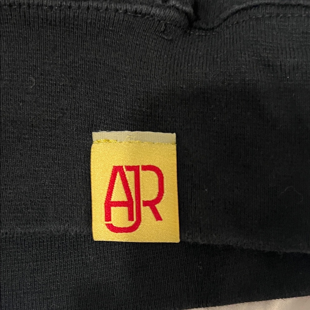 AJR Bummerland Black Hoodie with Flamingo Car Design - Picture 3 of 4
